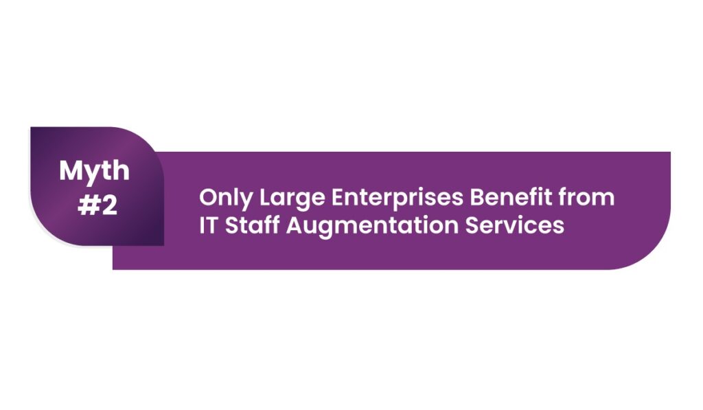 IT Staff Augmentation Services