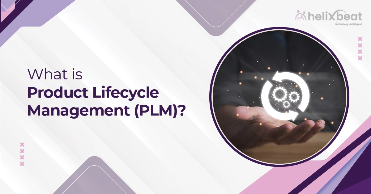 What is Product Lifecycle Management (PLM)?