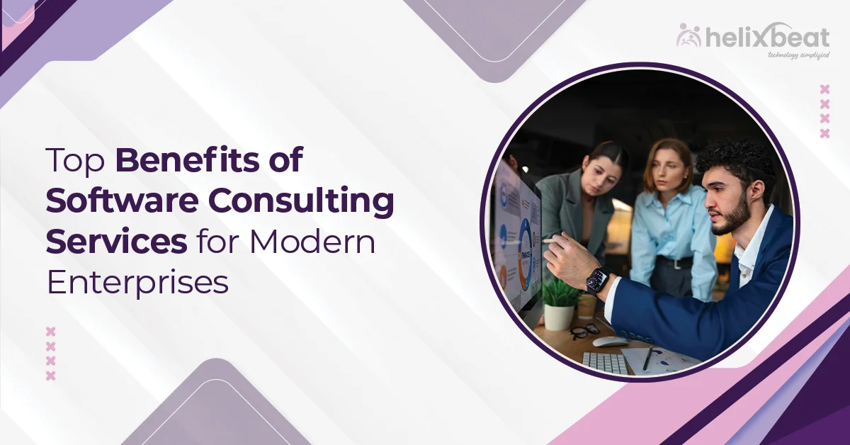 software consulting services