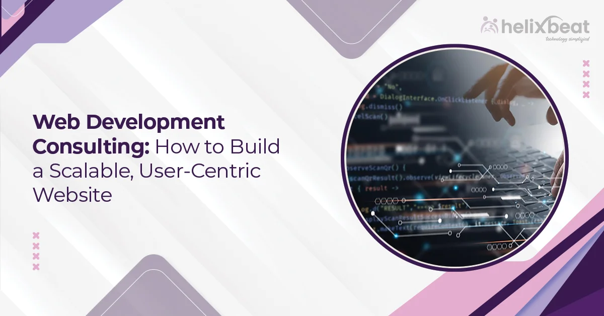 web development consulting