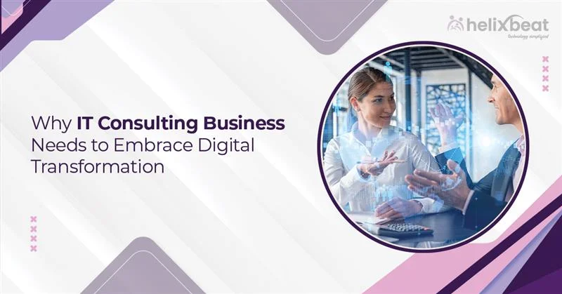 it consulting business