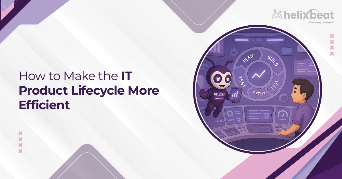 it product lifecycle