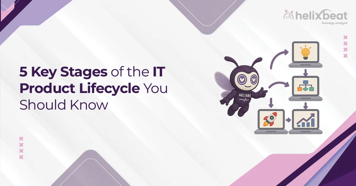 it product lifecycle